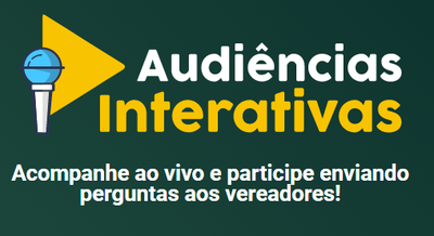 E-democracia-audiencia