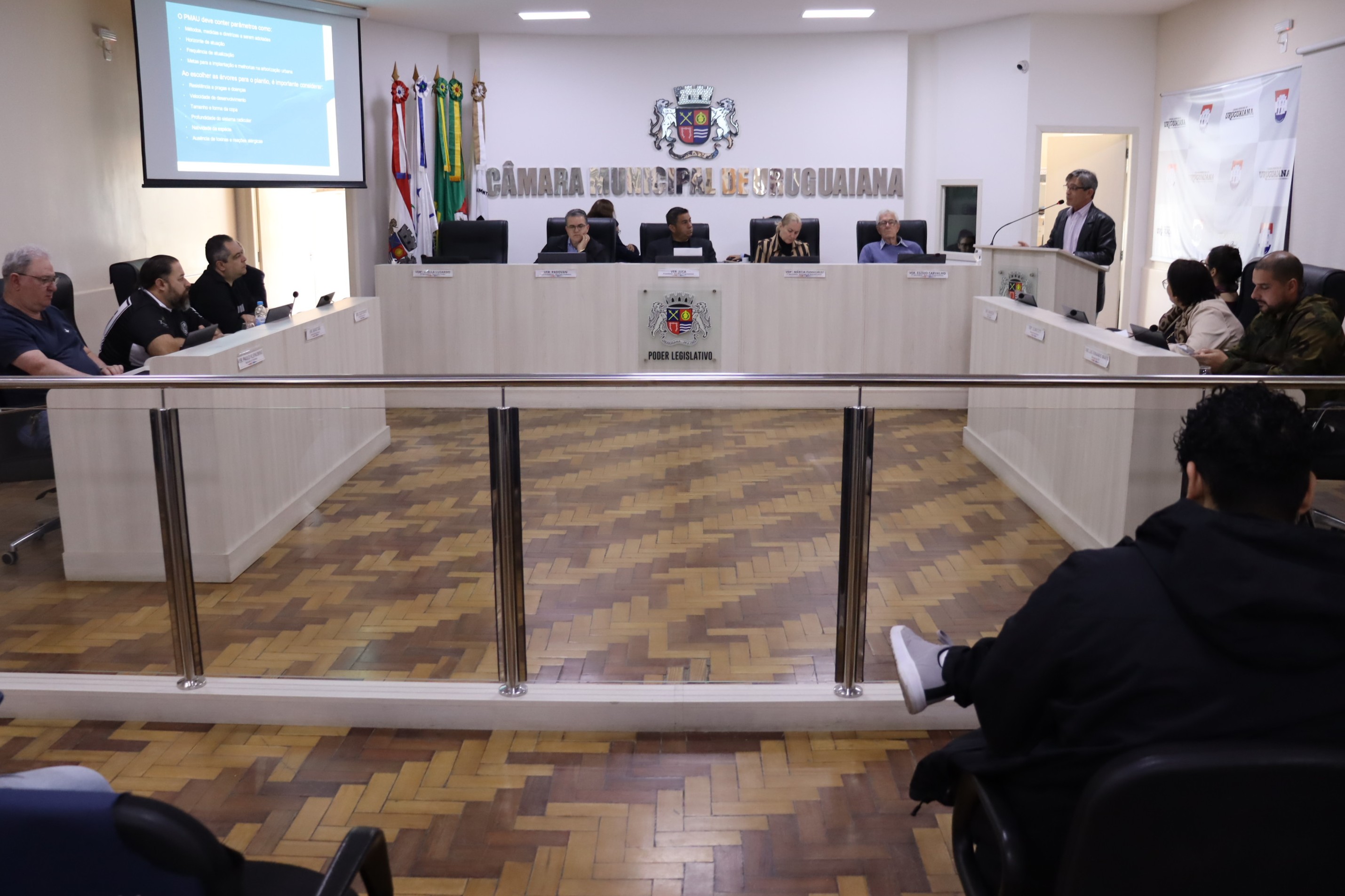 “ONG Ateliê Saladeiro” apresenta proposta de Programa Municipal de Arborização 