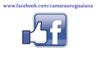 Assista as reuniões ao vivo pelo Facebook da Câmara Municipal