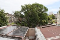 Câmara investe em energia solar 