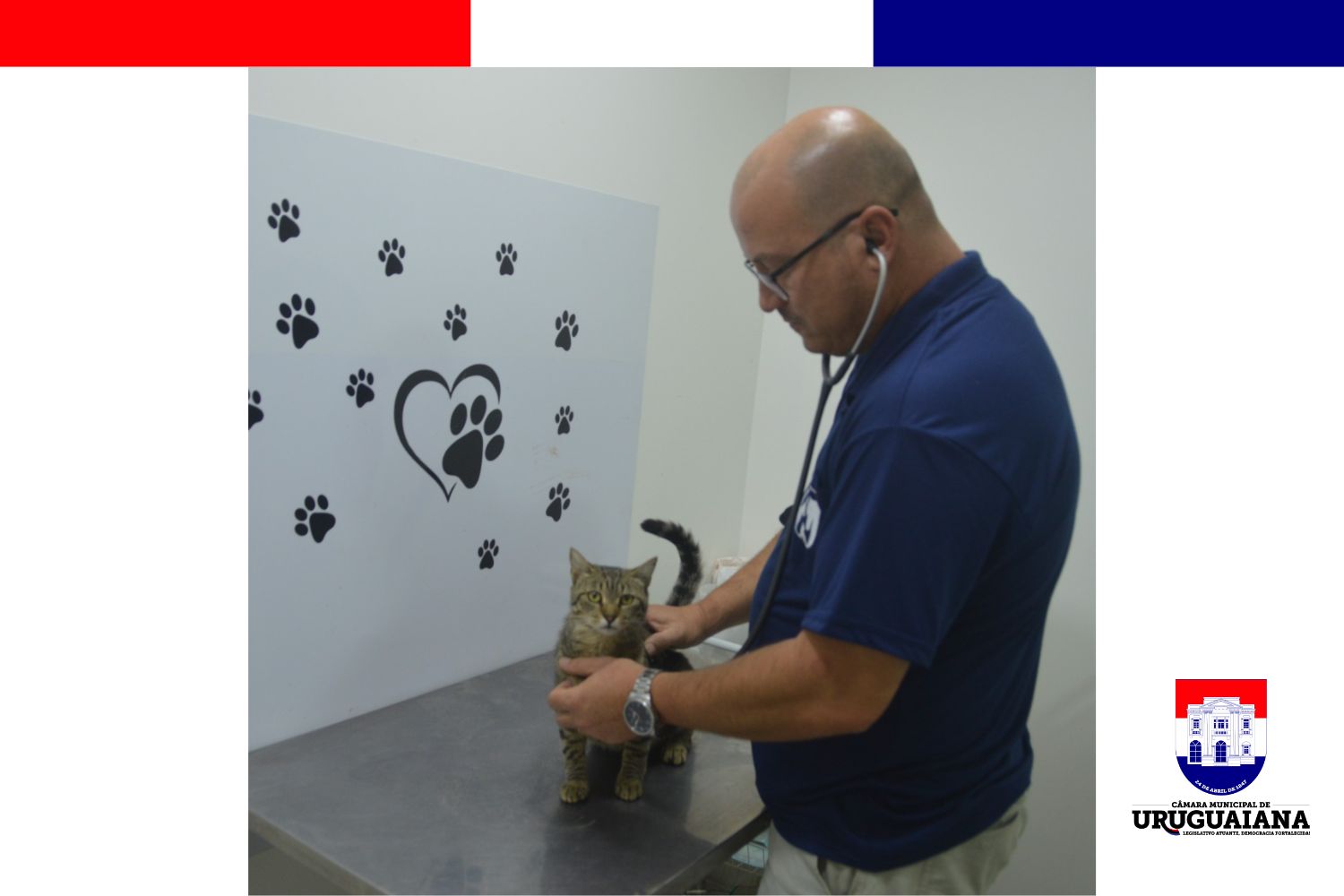 Clínica Veterinária poderá levar o nome de “Dr. Giovani Antunes Dalcastagne”