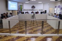 Comissão de Direitos Humanos e Bem-estar Animal analisa PL sobre carroças