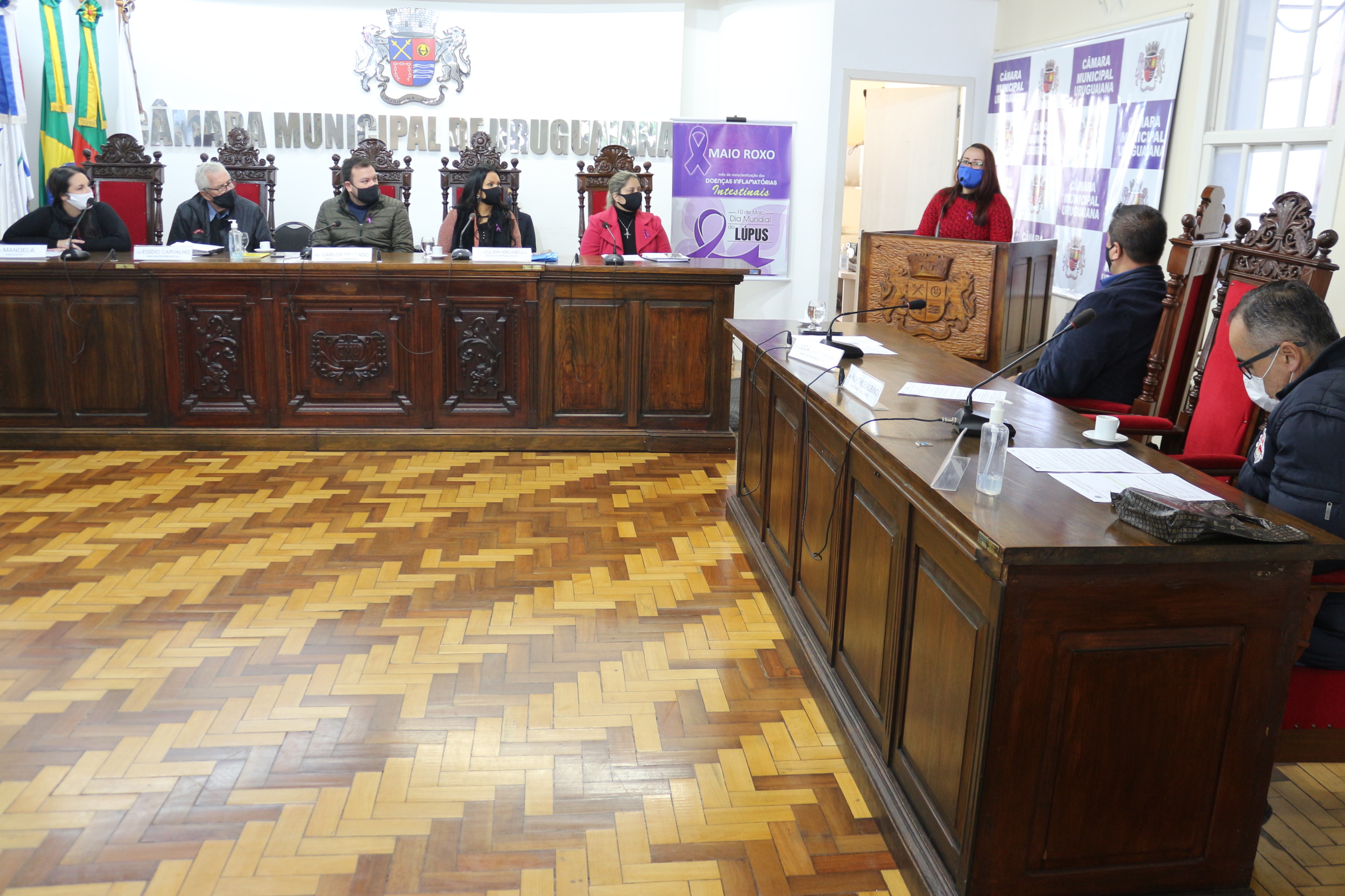 Conscientização e desafios de pessoas com Lúpus são tratadas na Câmara