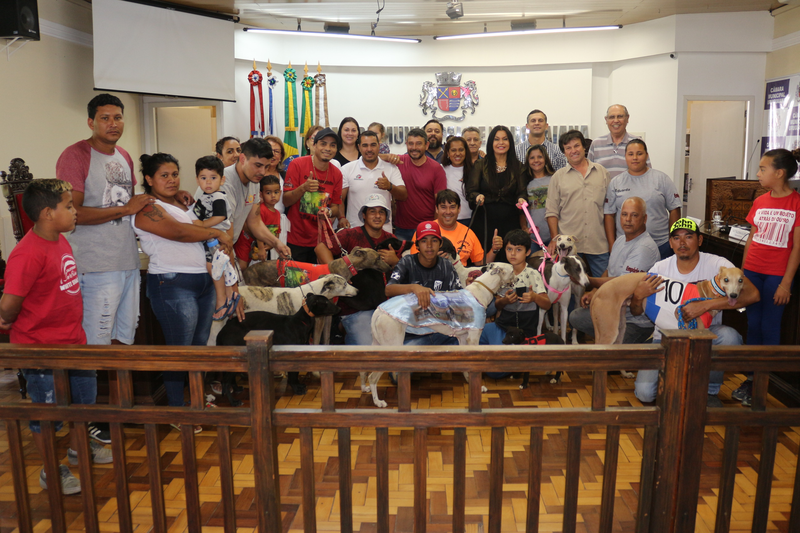 Corridas de galgos são reconhecidas como patrimônio histórico-cultural