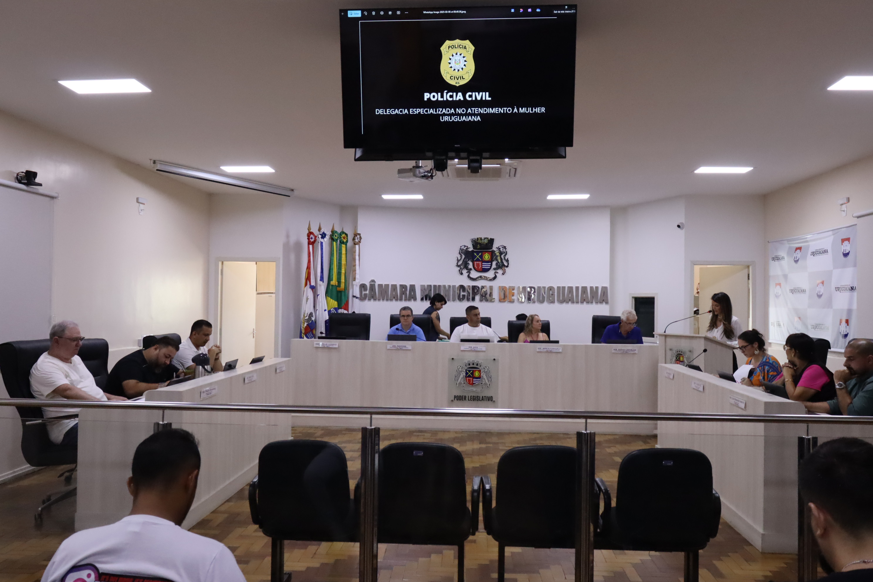 Defesa de mulher vítima de violência doméstica é pauta na Câmara 