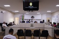 Defesa de mulher vítima de violência doméstica é pauta na Câmara 