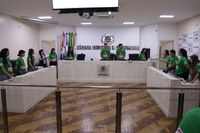 Jovens Parlamentares reuniram-se em última sessão plenária 