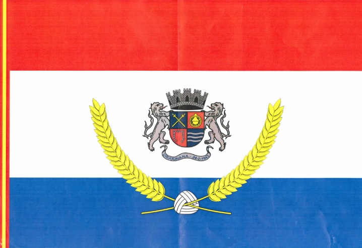 Lei que criou a Bandeira de Uruguaiana é atualizada 