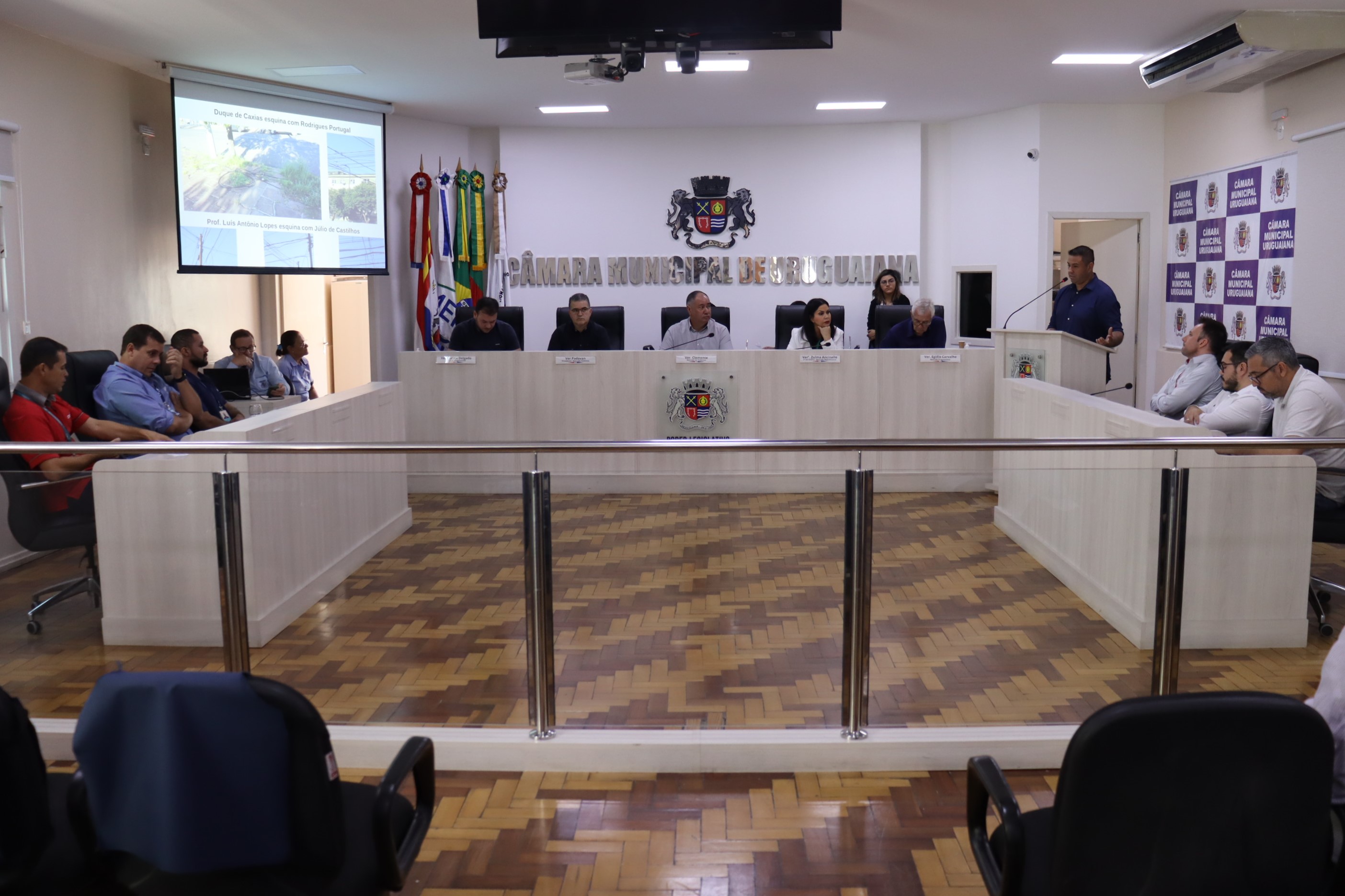 Medidas para reduzir fiação excedente nos postes foram discutidas na Câmara 