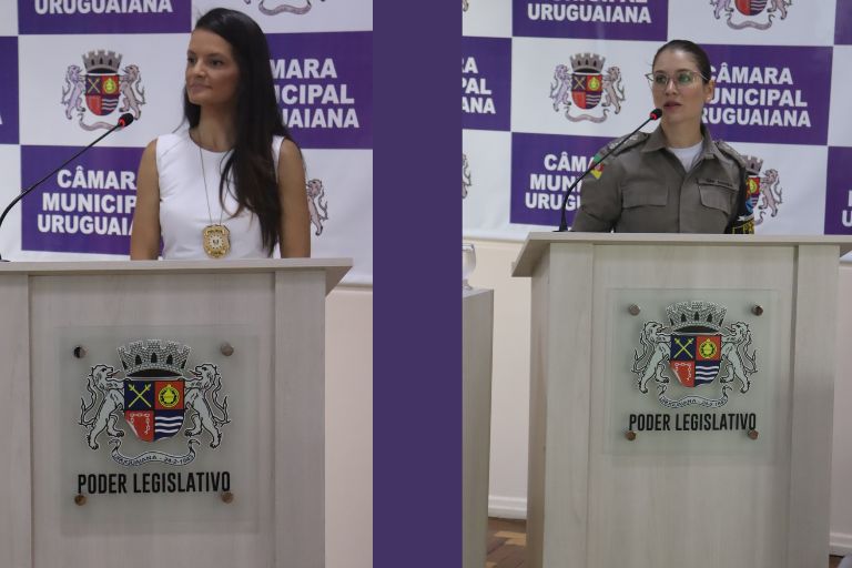 Órgãos de segurança explanam sobre enfrentamento à violência contra mulher