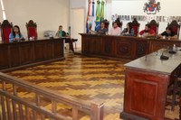 Preço da gasolina é assunto na Comissão de Direitos do Consumidor