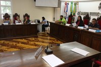 Primeira Reunião da Comissão  Representativa