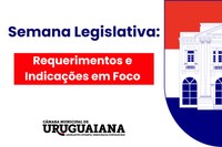  Semana Legislativa: 19 e 21 de agosto