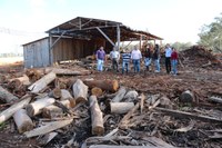 Vereadores averíguam irregularidades no Horto Florestal